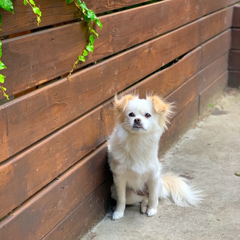 Meet your Posher, Katelyn